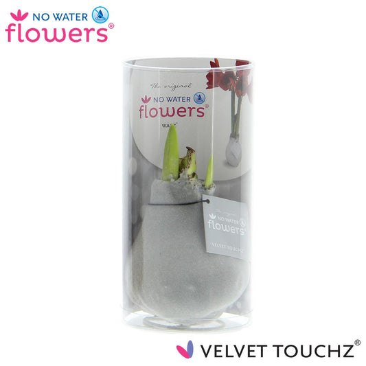 No Water Flowers Velvet Touchz® Zilver In Koker - ↕15cm