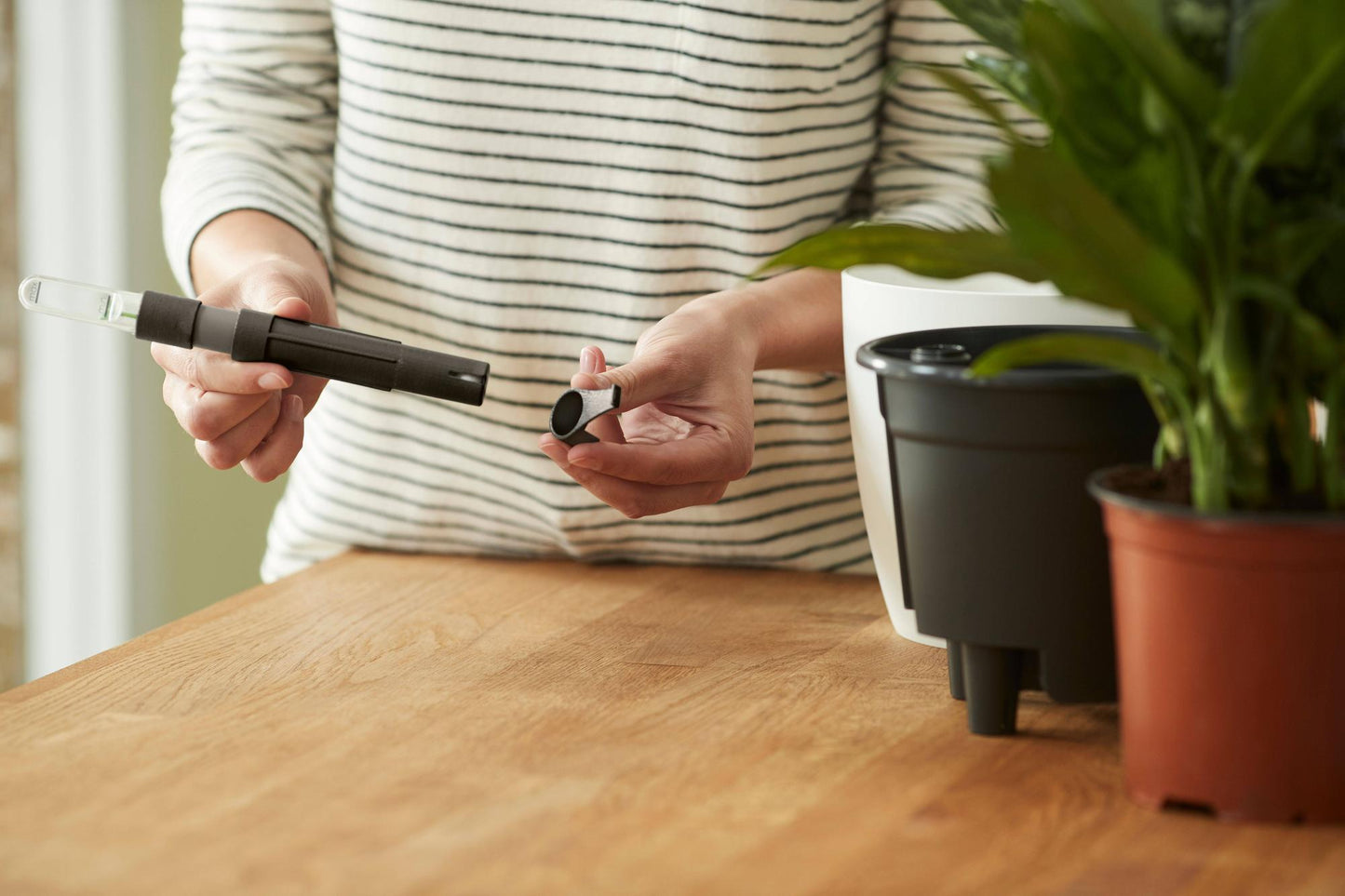 Bewässerungseinsatz 21 cm – Selbstbewässerung für Pflanzen