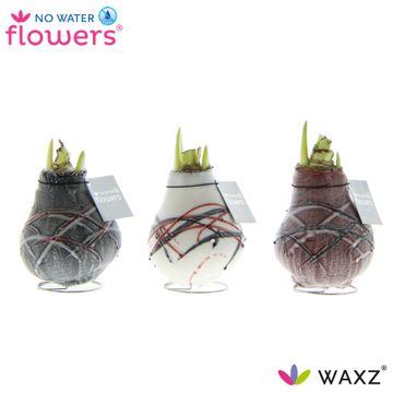 No Water Flowers Waxz Art V Gogh - 3 stuks - Ø7 cm - ↕15 cm