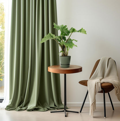 Alocasia Low Rider - Ø17cm - ↕50cm