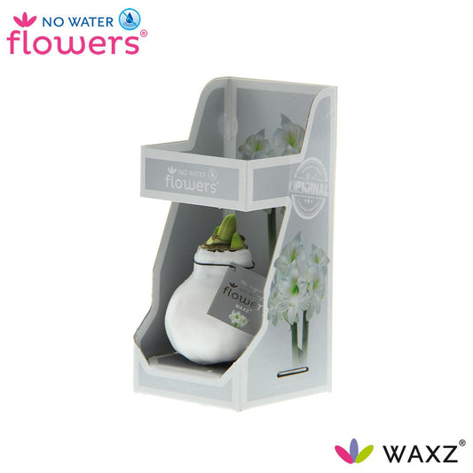No Water Flowers Waxz® White In Gift Box - ↕15cm