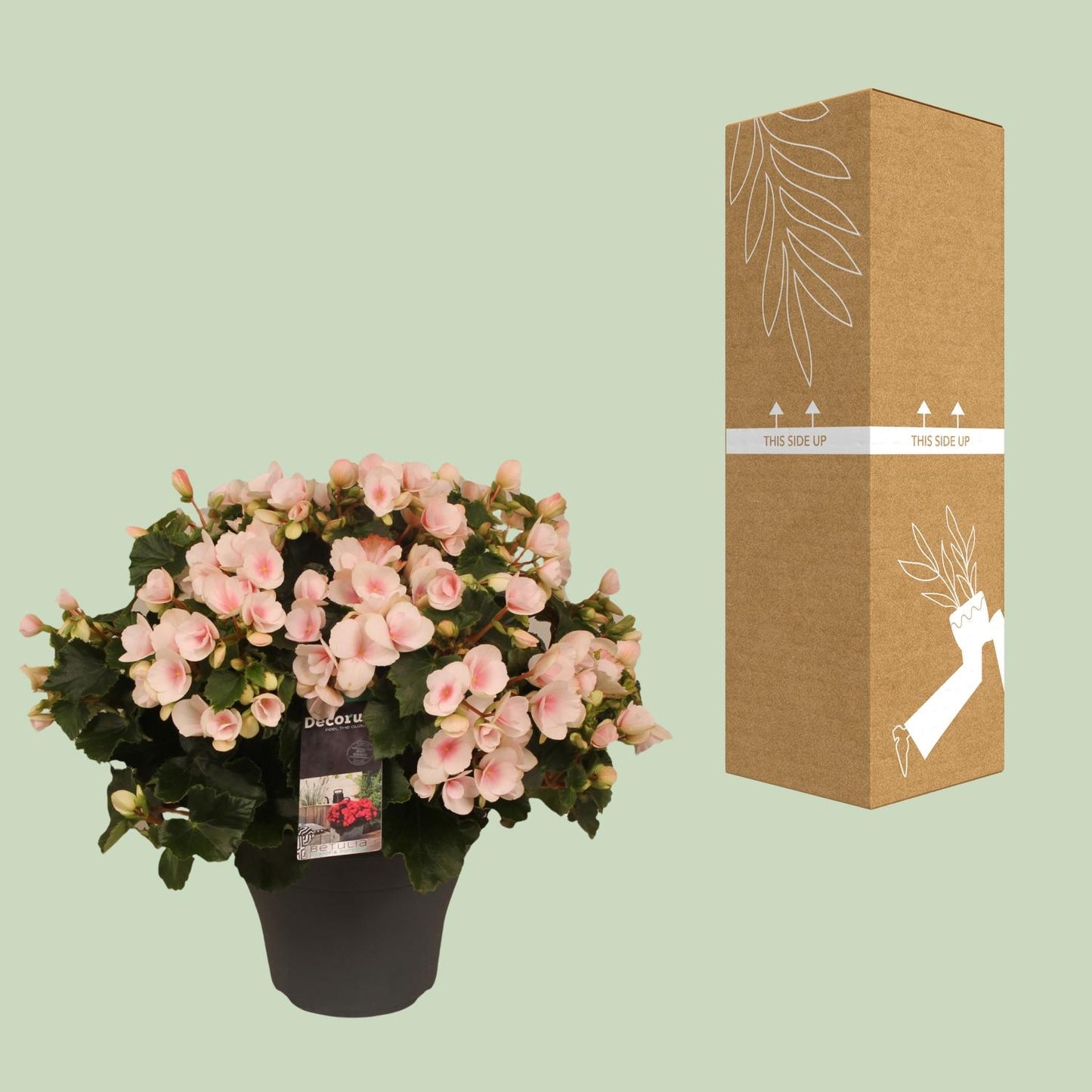Betulia Light 19cm Outdoor Decorum - Ø19cm - ↕35cm