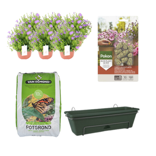 Balkonpflanzgefäß Grün DIY-Set - Campanula