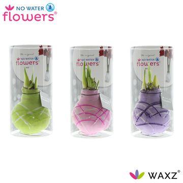 No Water Flowers Waxz Art Monet in  Koker - 3 Stücke - Ø7 cm - ↕15 cm