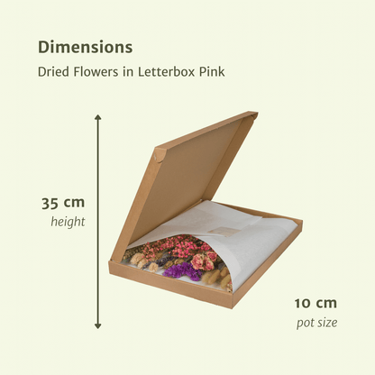 Trockenblumen im Briefkasten  - Pink
