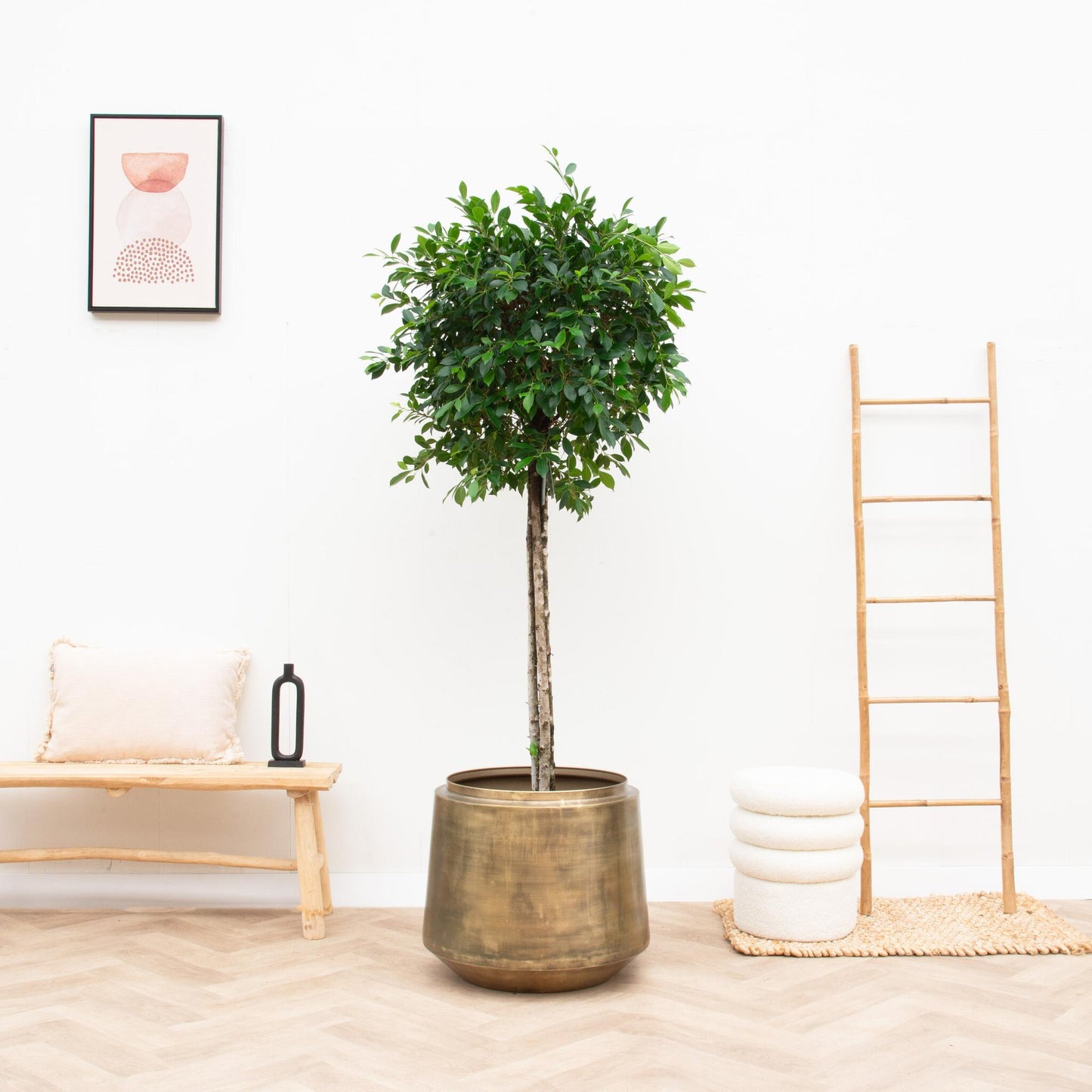 Vintage Gold Pflanztopf Ø46 cm für Innenräume