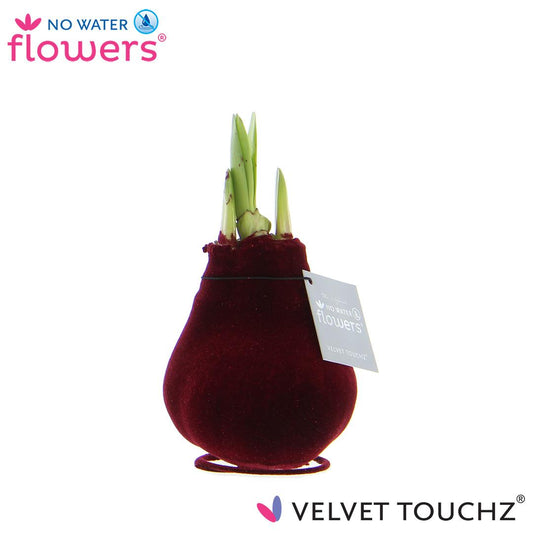 No Water Flowers Velvet Touchz® Bordeaux - ↕15cm