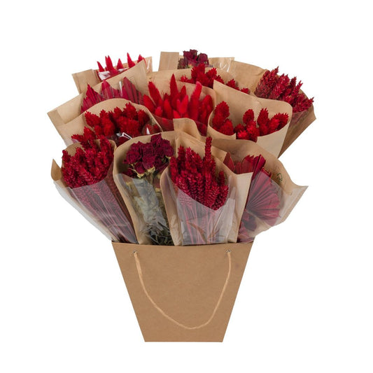 Dried Mono Mix Red - 12 Stücke - ↕50 cm