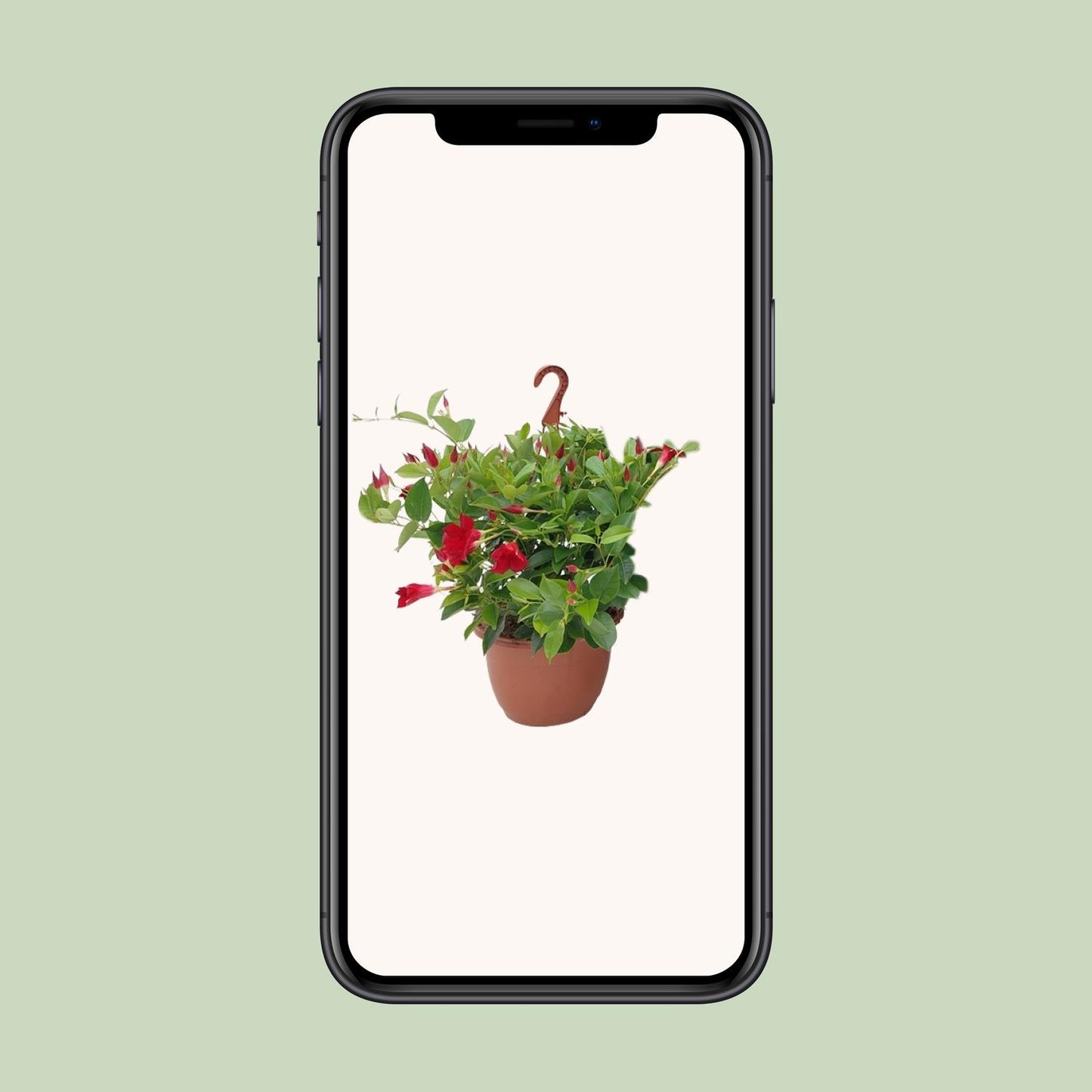 Sundaville Hanging Basket Tricolor - Ø25cm - ↕50cm