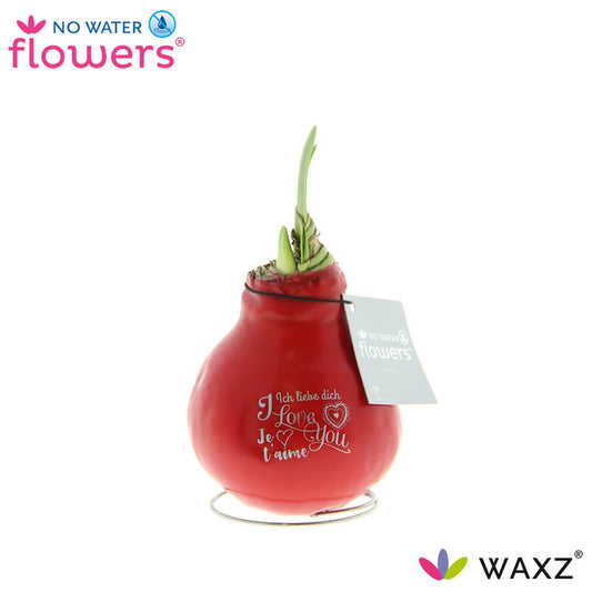 No Water Flowers Waxz® Message Printz Valentijn - ↕20cm