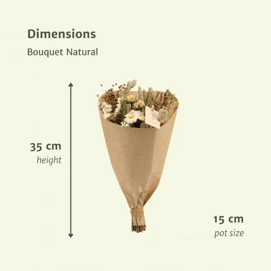 Trockenblumen Feldblumenstrauß Natürlich - Ø15cm - ↕35cm
