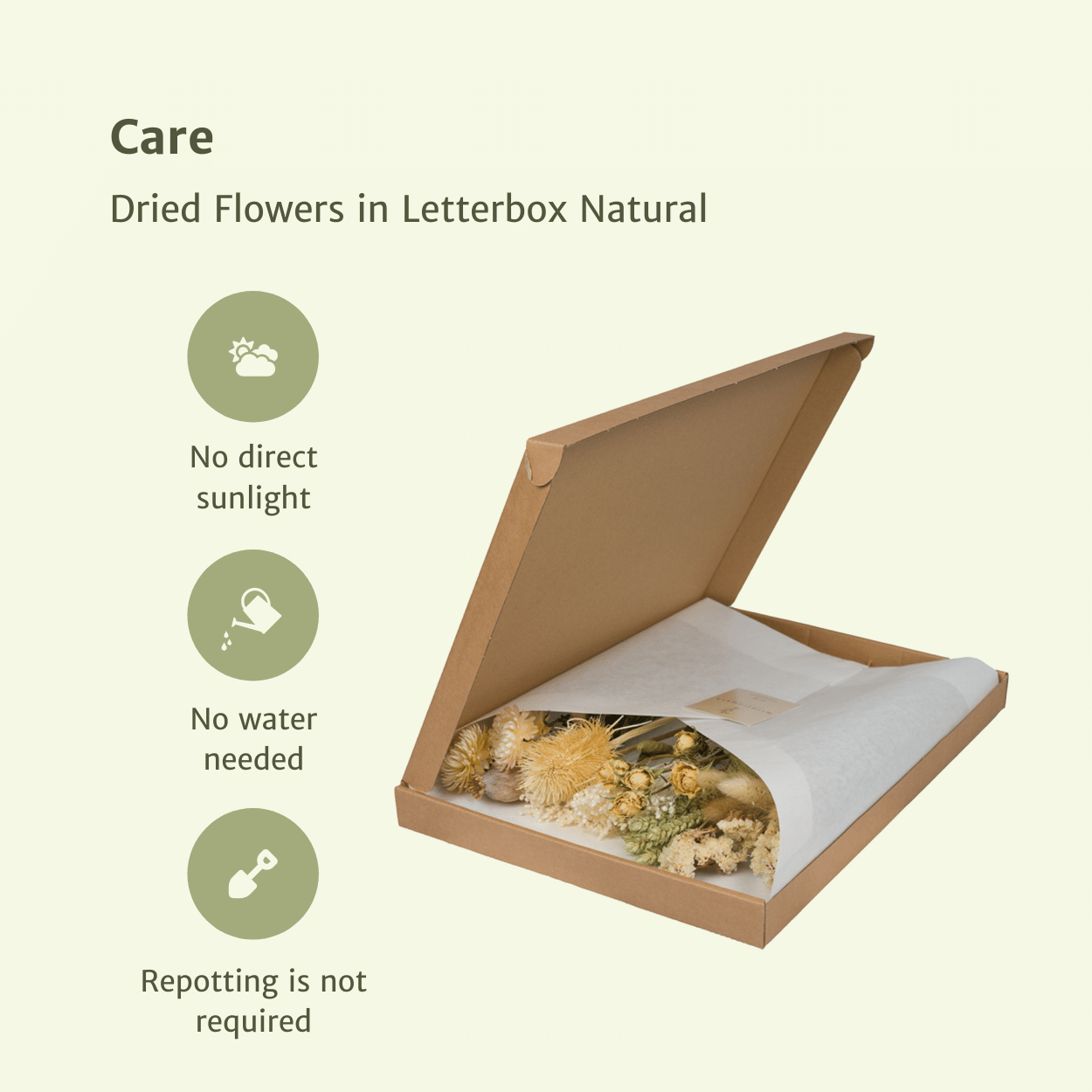 Trockenblumen im Briefkasten  - Natural