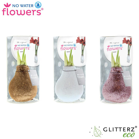 No Water Flowers Glitterz Charm Mix in Koker - 3 Stücke - Ø7 cm - ↕15 cm