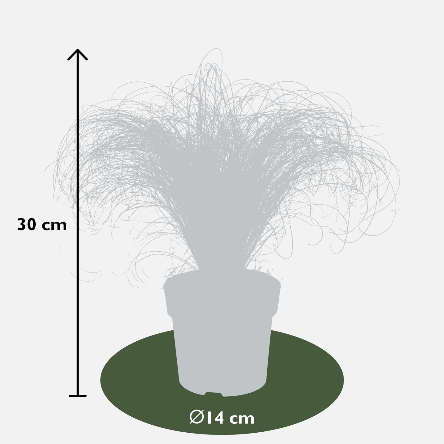 5x - Carex mix - ↨30cm - Ø14