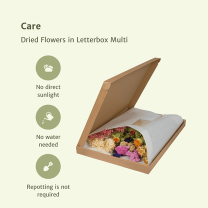 Trockenblumen im Briefkasten  - Multi