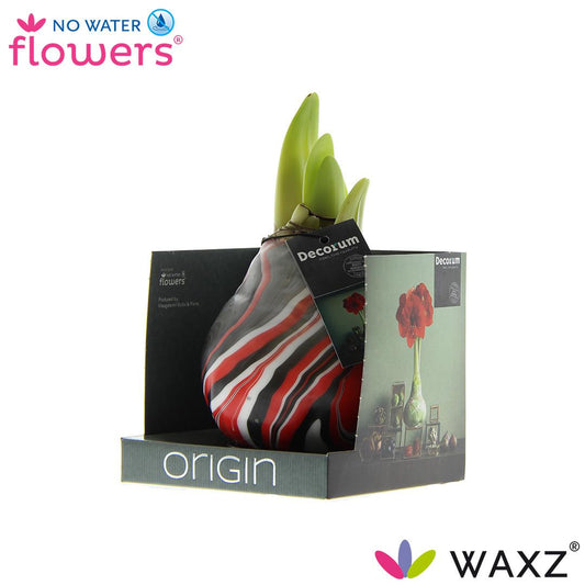 No Water Flowers Waxz® Artooz Earth Red Boxz(Decorum) - ↕15cm