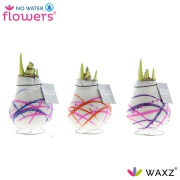No Water Flowers Waxz Art Karel Appel - 3 Stücke - Ø7 cm - ↕15 cm